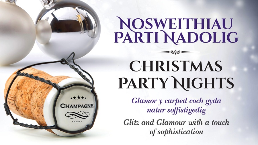 Christmas Party Nights  Venue Cymru