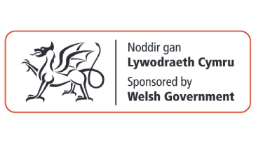 welsh  government logo