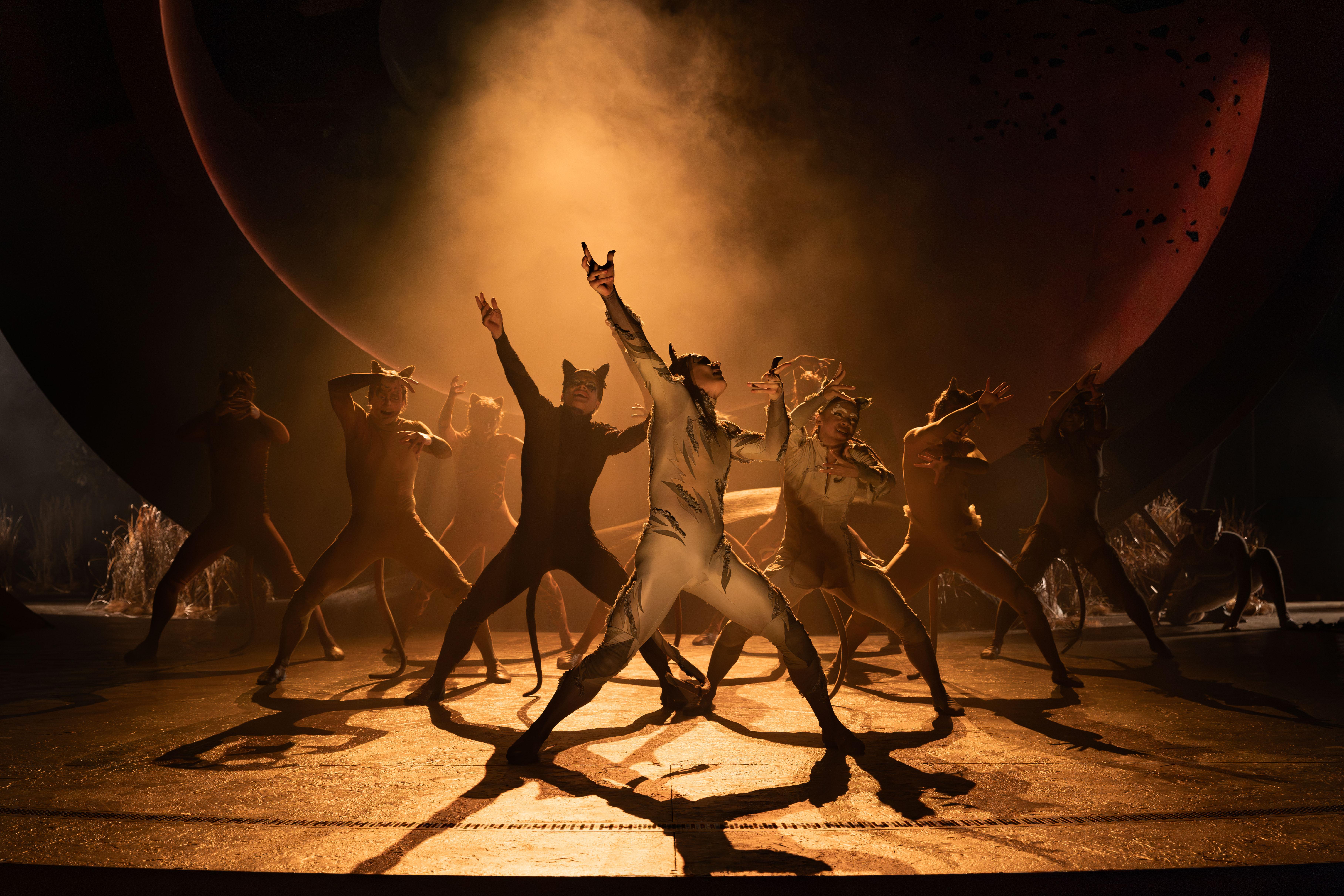 production shot of performers in CATS