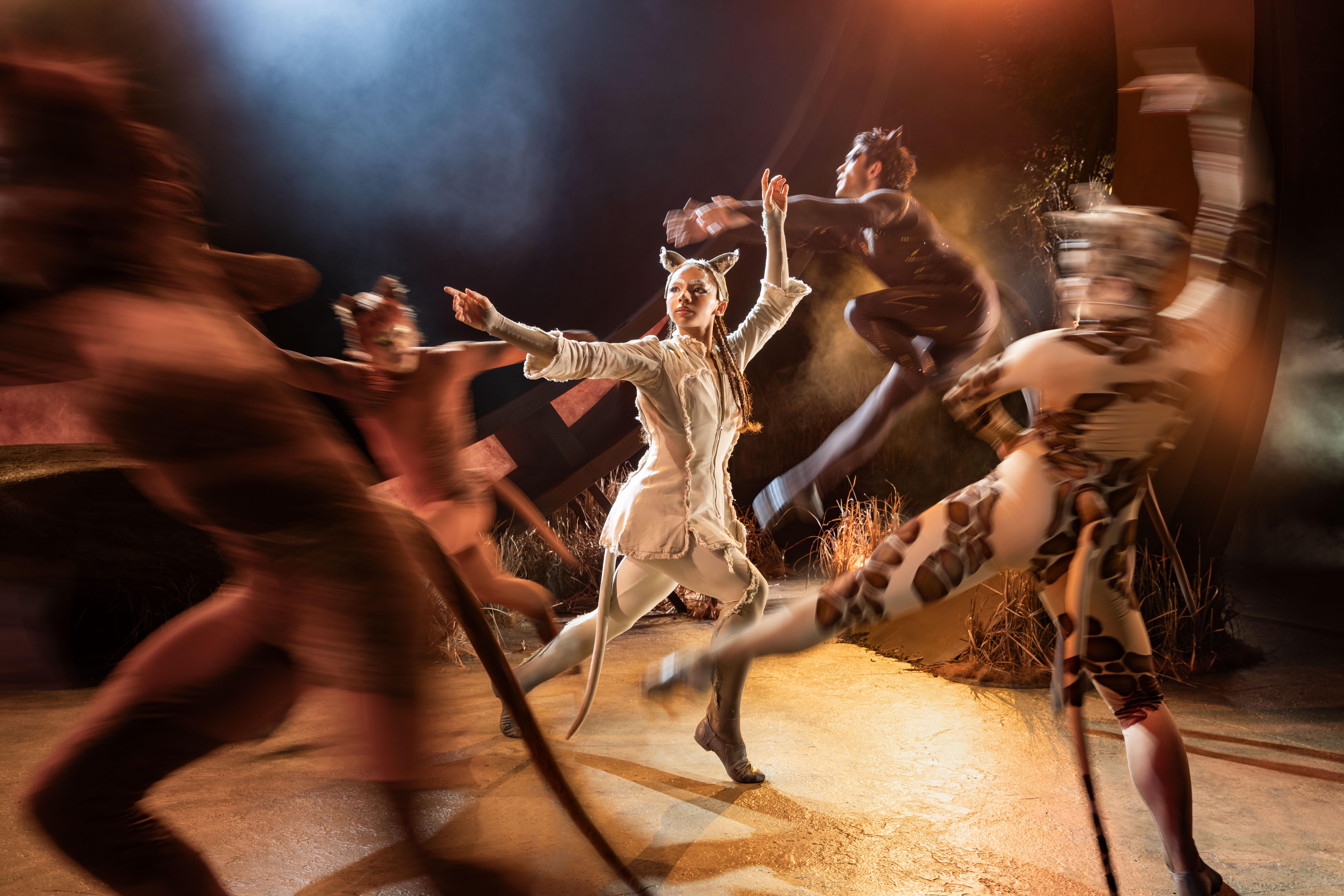 production shot of performers in CATS
