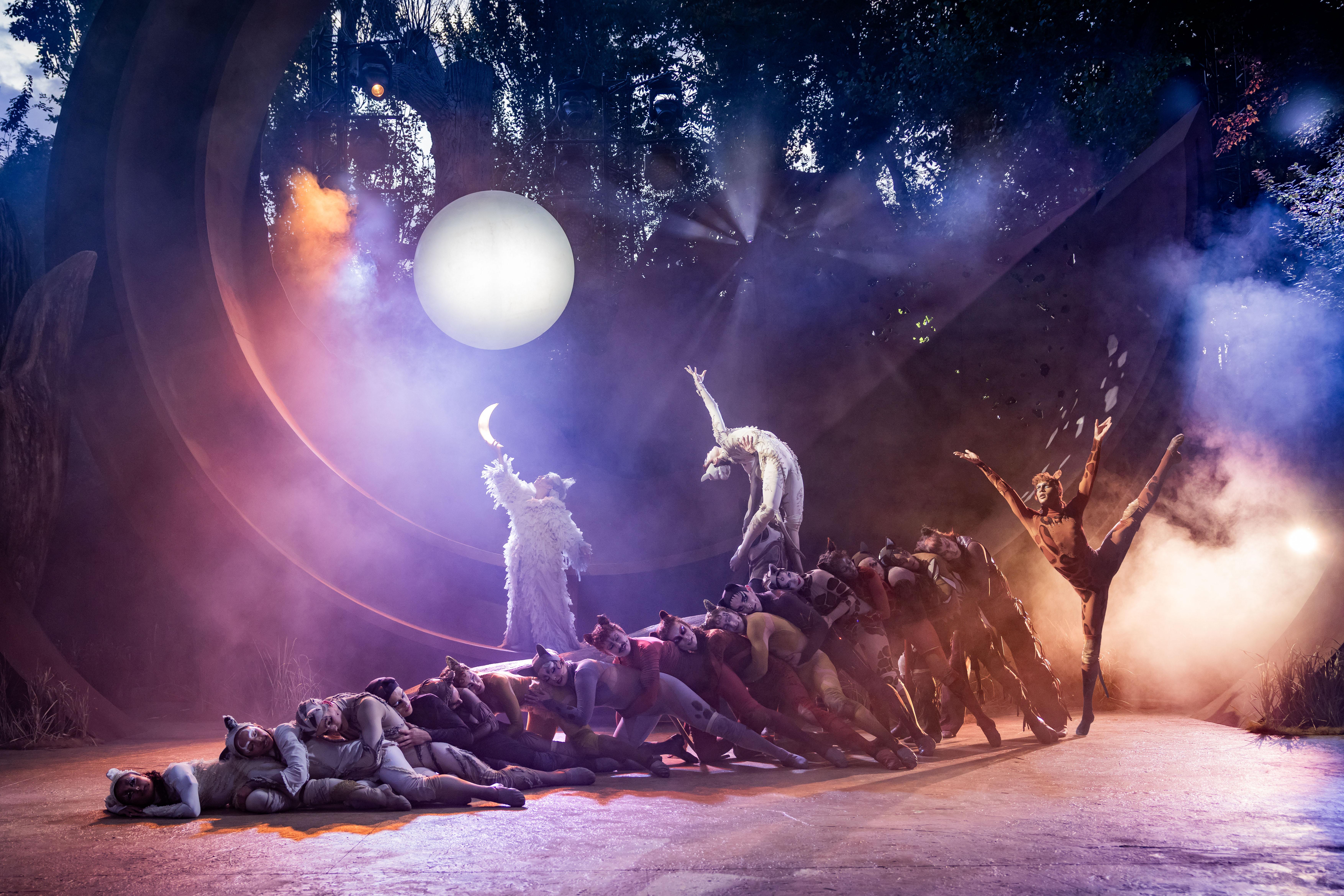 production shot of performers in CATS