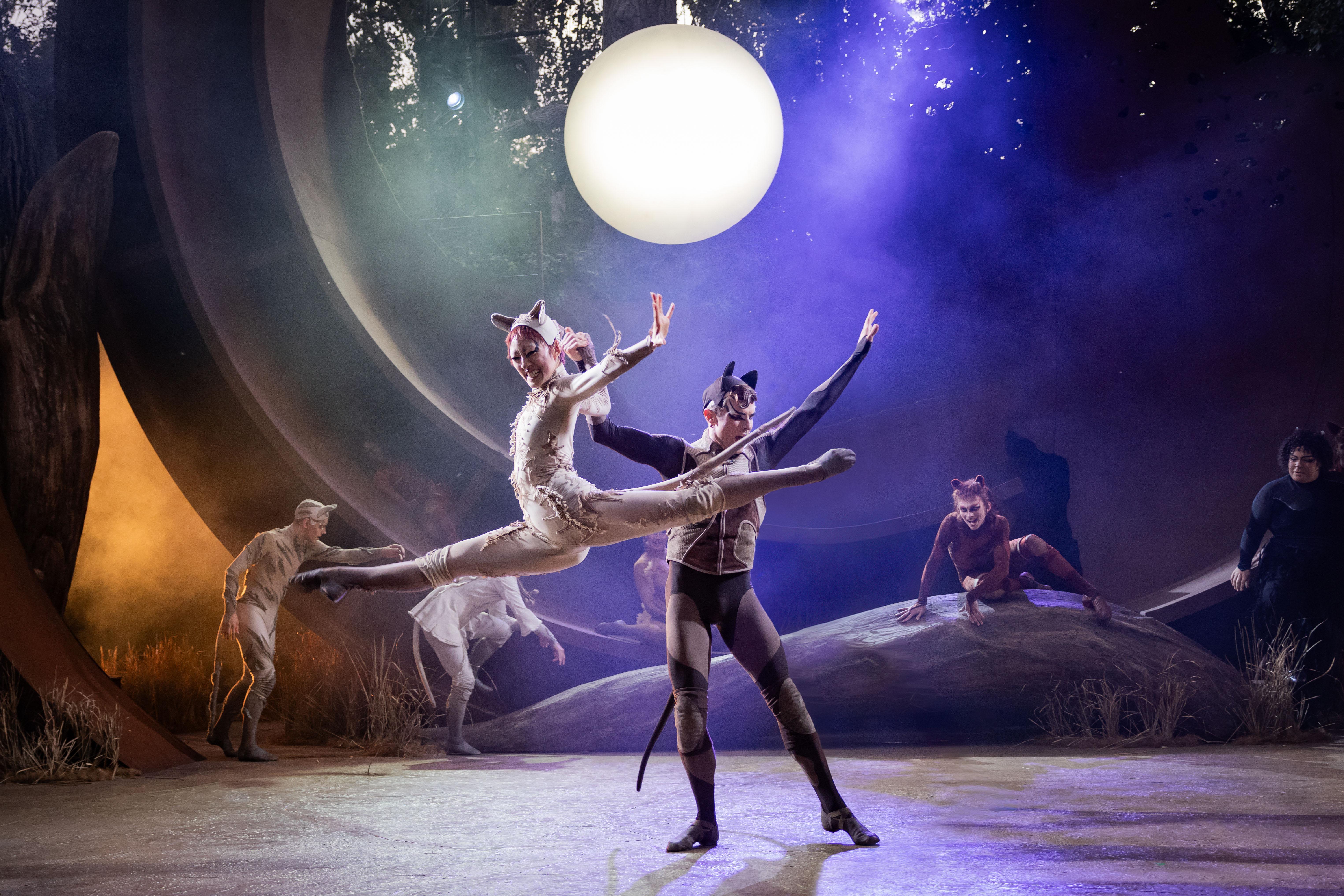 production shot of performers in CATS