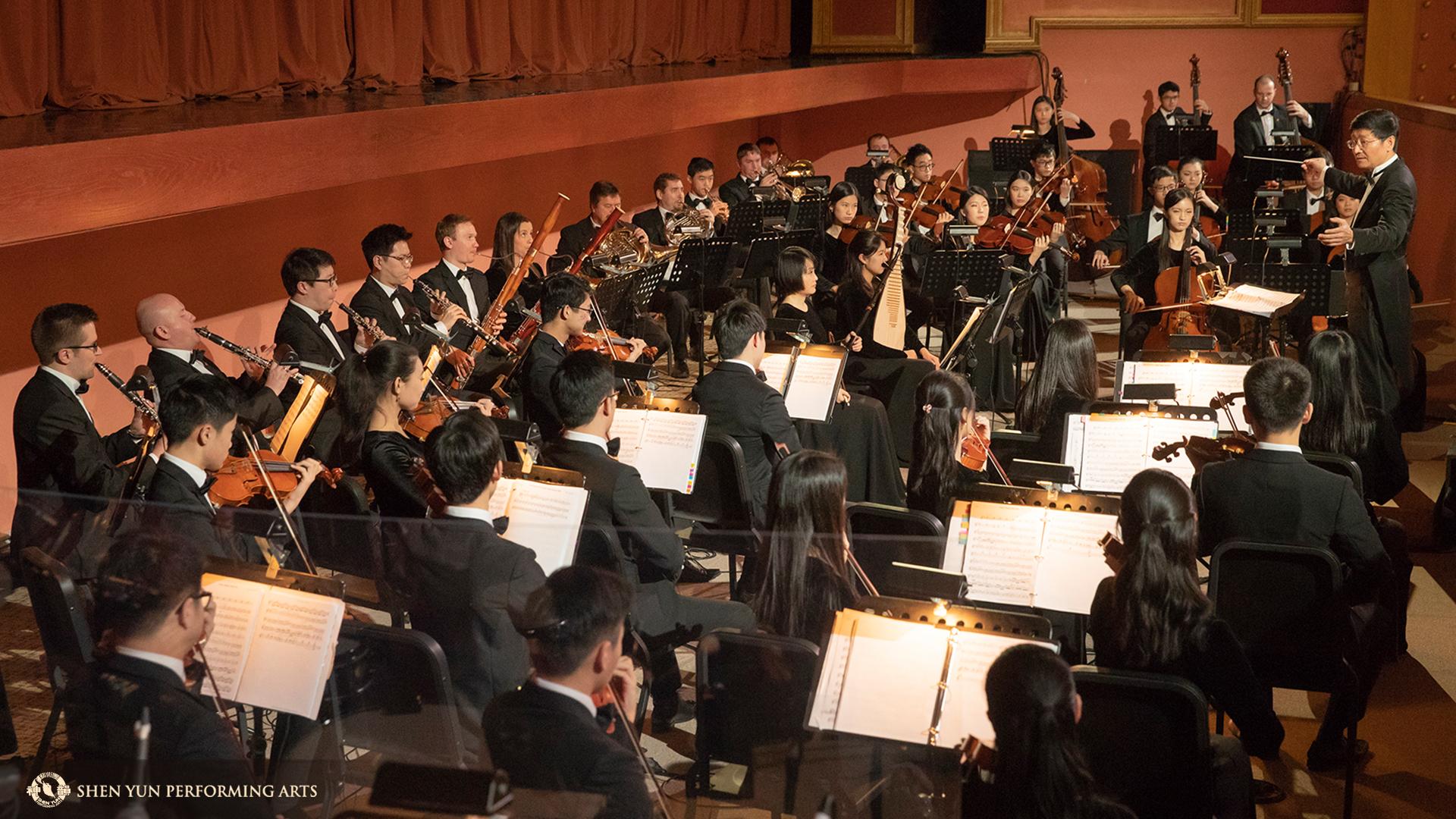 Orchestra of musicians looking at conductor