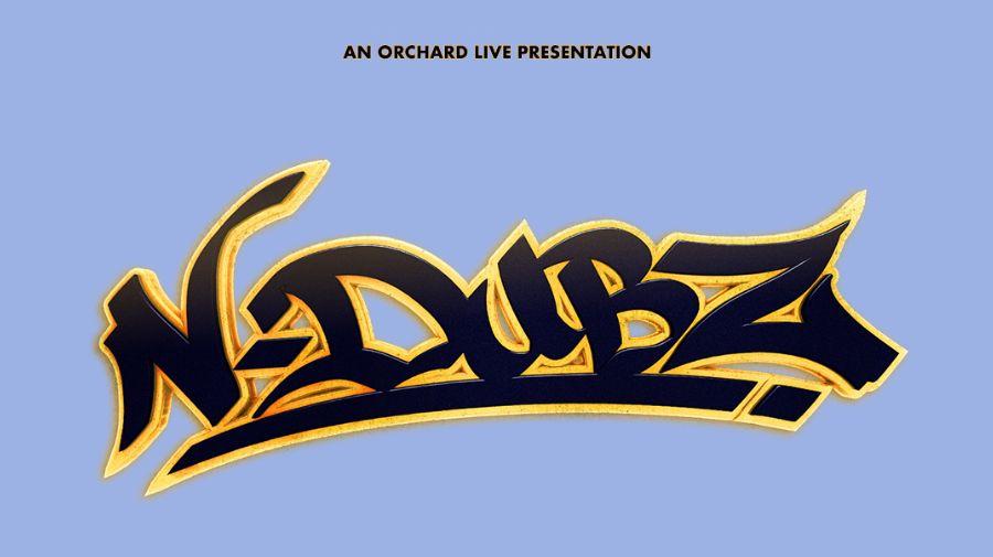 image of text N-Dubz