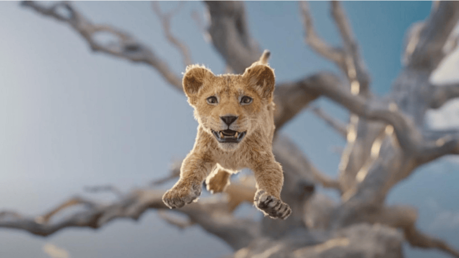 a lion cub jumps from the branches of tree, against a light blue sky 