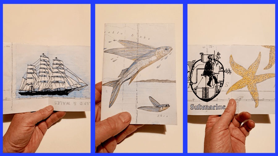 three separate images in blue frame of a sketch of a sailing ship, a flying fish, a star fish overlaid by a shell 