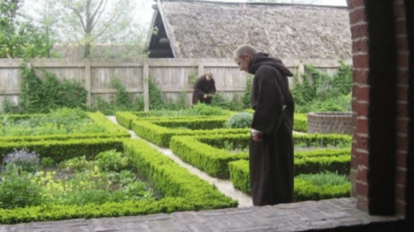 image of a monk in a garden