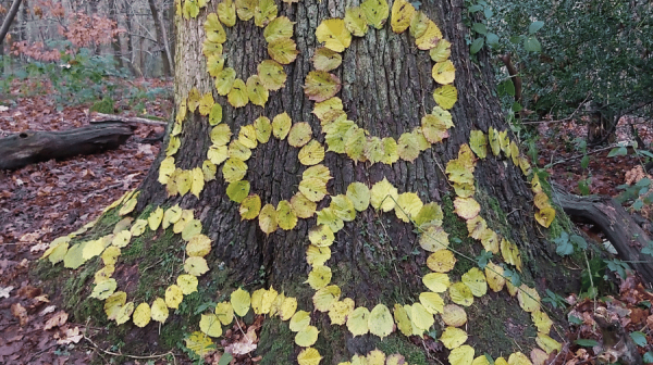 image of leaves stuck to a tree in a pattern 