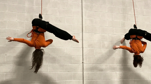 two vertical dancers upside down on harnesses
