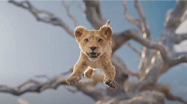 a lion cub jumps from the branches of tree, against a light blue sky 