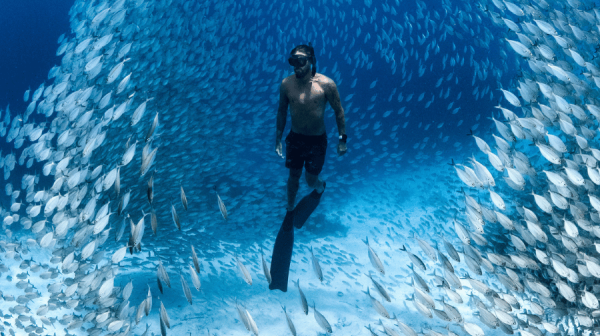Man swimming in the ocean surrounded by fish
