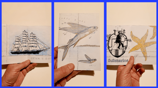 three separate images in blue frame of a sketch of a sailing ship, a flying fish, a star fish overlaid by a shell 